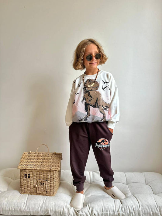 Kids Dinosaur Sweatshirt & Joggers – Jurassic World Outfit Set