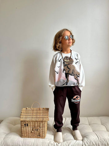 Kids Dinosaur Sweatshirt & Joggers – Jurassic World Outfit Set